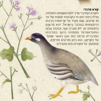 לוח שנה בטבע